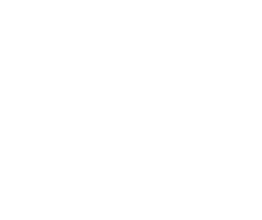 YIN CYCLE